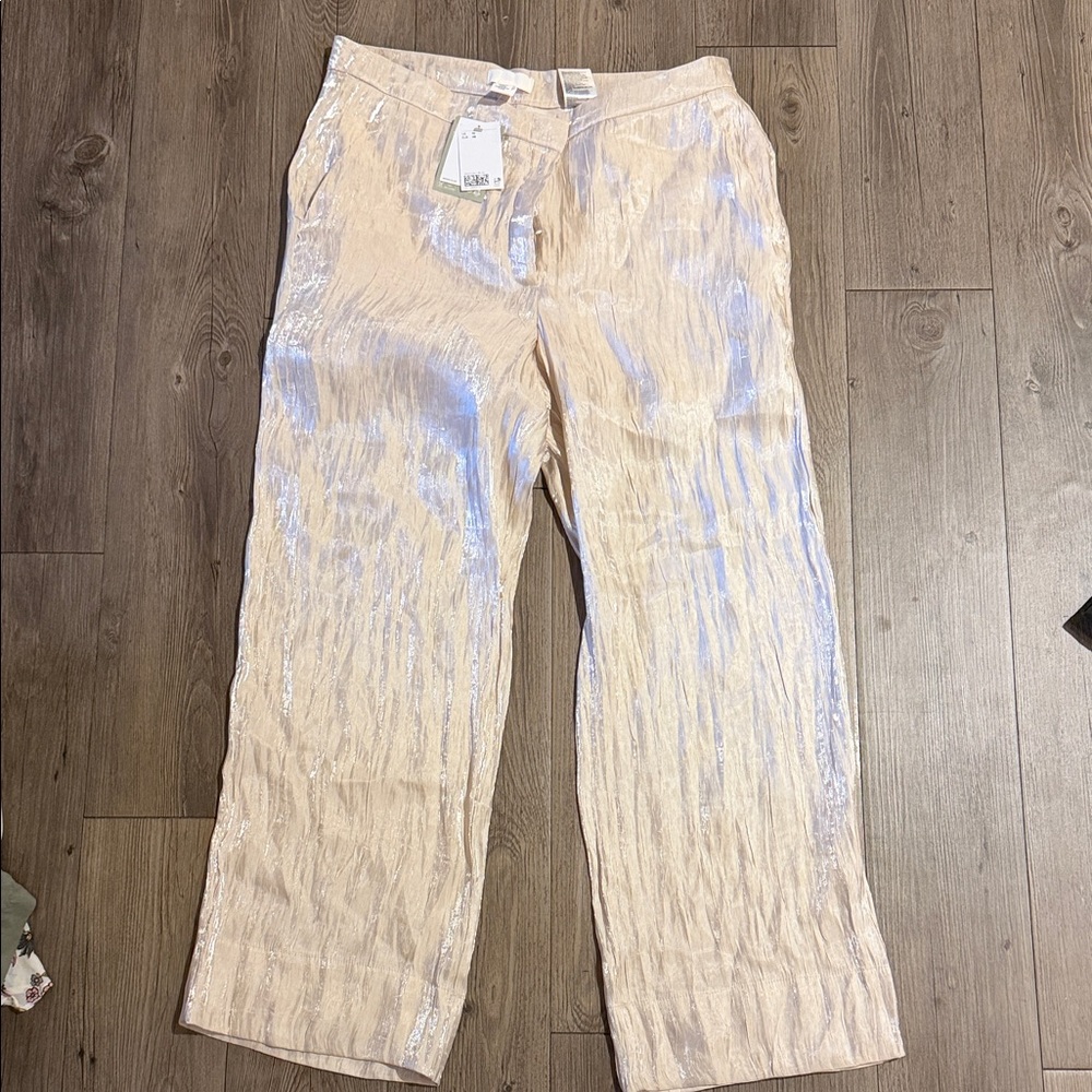 Semi Sheer Cream Slacks